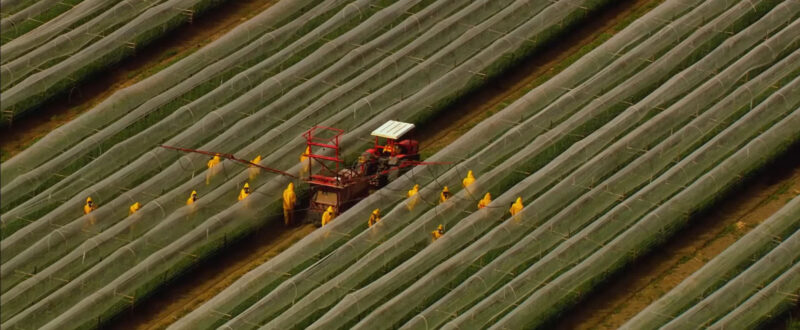 Agriculture - Tomorrow Documentary MOVIE